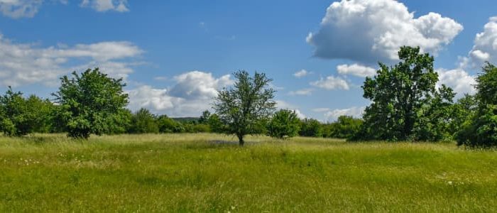 Bauland finden